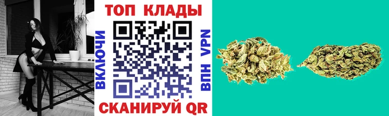 Где купить Кировград мега ссылки  Псилоцибиновые грибы  Меф мяу мяу  Гашиш  Марихуана  A-PVP 