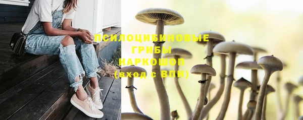 прущая мука Каменск-Шахтинский