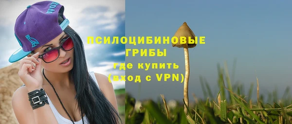 дурь Каменка