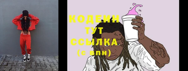 дживик Карпинск