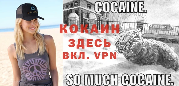 дживик Карпинск