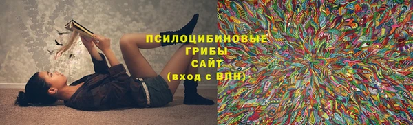 дживик Карпинск
