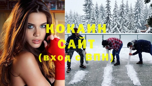 крисы Каменногорск