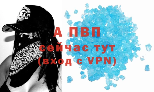 крисы Каменногорск