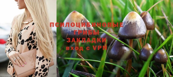 прущая мука Карталы