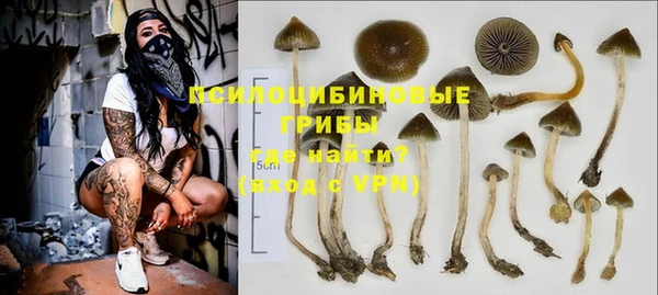 крисы Каменногорск