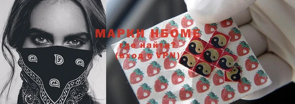 тгк Касимов