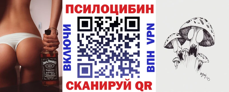хочу наркоту  Кировград  Галлюциногенные грибы GOLDEN TEACHER 